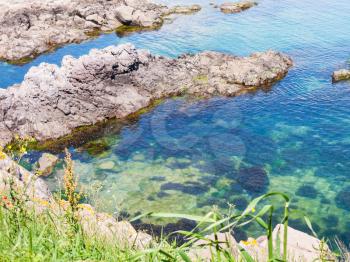 rock on coastline of the Black Sea near Sozopol town - seaside resort on Black Sea coast in Bulgaria