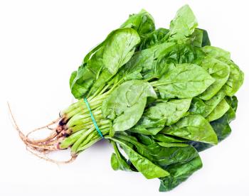 bunch of fresh green spinach herb on white background