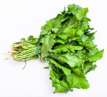 bunch of fresh green cress herb on white background