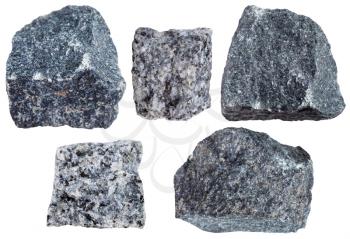 collection from specimens of Gabbro rock isolated on white background