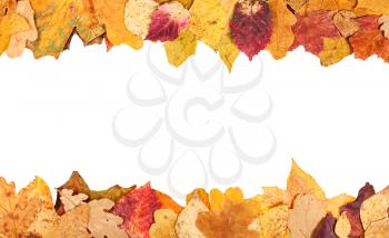 top and bottom frames from yellow autumn leaves with blank cut out space
