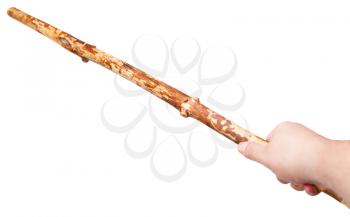 arm with wooden staff from tree trunk isolated on white background