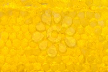 natural texture - yellow honeycomb under fresh honey