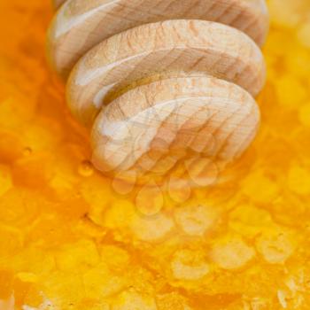 wooden honey stick on honeycomb with honey close up