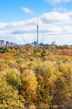 yellow autumn forest and city with tv tower on horizon in sunny day