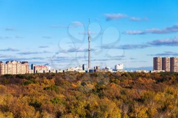 autumn landscape with yellow forest and city with tv tower on horizon in sunny day