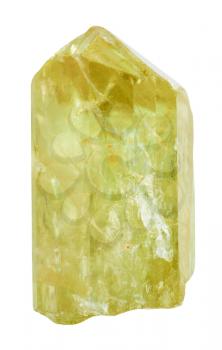macro shooting of specimen of natural mineral - Yellow Apatite (Gold Apatite, Golden Apatite) crystal from Mexico isolated on white background