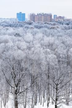 houses on horizon and above view of woods in snow in cold winter morning