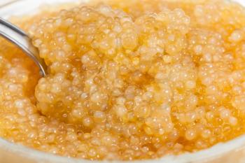 salty yellow caviar of pike fish with spoon close up