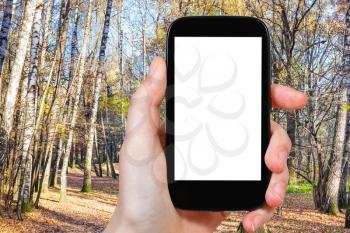 weather concept - hand holds smartphone with cut out screen with autumn forest on background