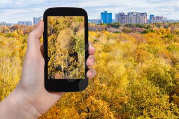 weather concept - photographer takes photo of yellow trees in urban park in autumn