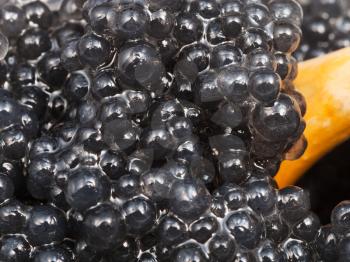 black coloured pickled caviar of halibut fish with wooden spoon close up