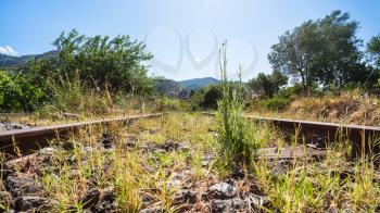 travel to Italy - green grass in old railroad in Sicily in summer day