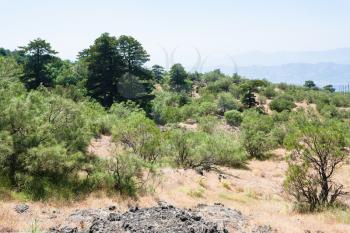 travel to Italy - overgrown slope of Etna volcano in Sicily