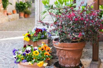 travel to Italy - outdoor flowerpods with fresh flowers on street in Verona city in spring