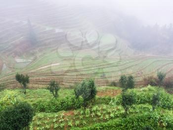 travel to China - view of rice terraced hills in mist from viewpoint Music from Paradise in area of Dazhai Longsheng Rice Terraces (Dragon's Backbone terrace, Longji Rice Terraces) country in spring