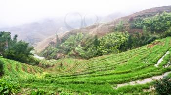 travel to China - view of wet terraced rice fields from Tiantouzhai village in area Dazhai Longsheng Rice Terraces (Dragon's Backbone terrace, Longji Rice Terraces) country in spring