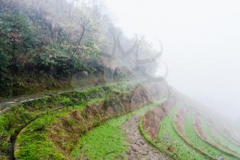 travel to China - brume on rice terraced fieilds from viewpoint Music from Paradise in area of Dazhai Longsheng Rice Terraces (Dragon's Backbone terrace, Longji Rice Terraces) country in spring