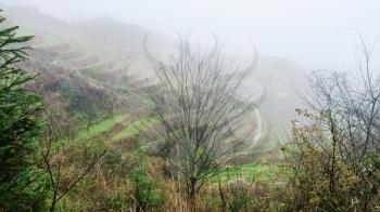 travel to China - view of rice terraced hills in fog from viewpoint Music from Paradise in area of Dazhai Longsheng Rice Terraces (Dragon's Backbone terrace, Longji Rice Terraces) country in spring