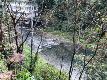 travel to China - little river in Longsheng Hot Springs National Forest Park in Jiangdi village of Xiangshan District in spring season