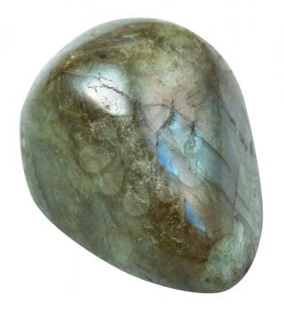 macro shooting of natural mineral rock - polished labrador (labradorite) stone isolated on white background from Madagascar