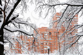 view of residential apartment house through snow-covered branches of oak trees in winter in Moscow city
