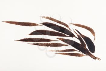 hand painting in sumi-e style on cream paper - bamboo branch drawn by brown watercolors