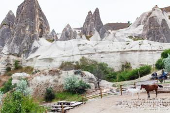 Travel to Turkey - horses near viewpoint in Goreme National Park in Cappadocia in spring