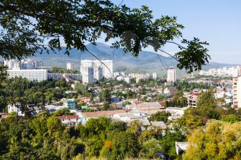 travel to Crimea - green trees and view of Alushta city from Castle Hill in sunny morning
