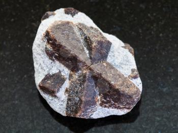 macro shooting of natural mineral rock specimen - rough crystal of Staurolite in mica shale on dark granite background from Western Keivy, Kola Peninsula, Russia