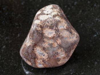 macro shooting of natural mineral rock specimen - tumbled leopardskin jasper gemstone on dark granite background