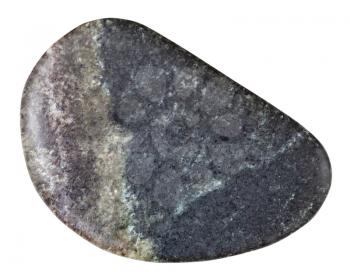 macro shooting of natural mineral rock specimen - tumbled olivinite stone isolated on white background from Kovdor region, Kola Peninsula, Russia