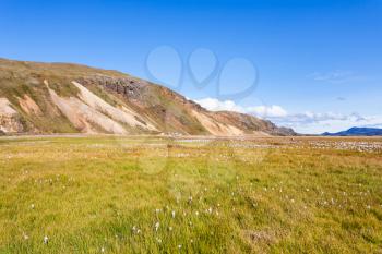 travel to Iceland - green meadow in Landmannalaugar area of Fjallabak Nature Reserve in Highlands region of Iceland in september