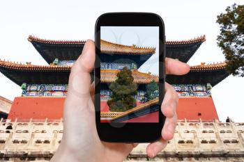 travel concept - tourist photographs Imperial Ancestral Temple (Taimiao, Working People's Cultural Palace) in Beijing Imperial city in spring on smartphone