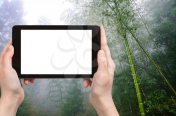 travel concept - tourist photographs wet rainforest in area of Dazhai Longsheng (Dragon's Backbone, Longji) Rice Terraces county in spring season on tablet with cut out screen for advertising logo