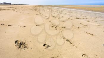 travel to France - footprints in the sand beach of Le Touquet after ebb tide (Le Touquet-Paris-Plage) on coast of English Channel