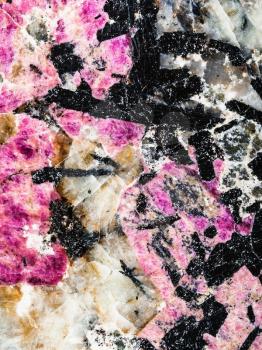 verical background from polished pink eudialyte mineral with black aegirine crystals in syenite (lujaurite) rock close up