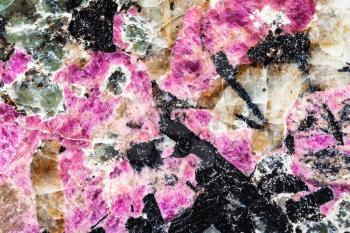 polished background from natural pink eudialyte mineral with black aegirine crystals in syenite (lujaurite) rock close up