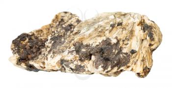 macro shooting of natural mineral - Perovskite stone in rough Clinochlore rock isolated on white backgroung from Ural Mountains