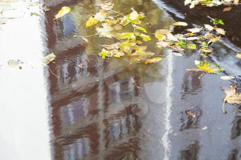 puddle on street with fallen leaves and reflection of apartment house in sunny autumn day