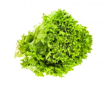 fresh green foliage of Ice leaf lettuce isolated on white background