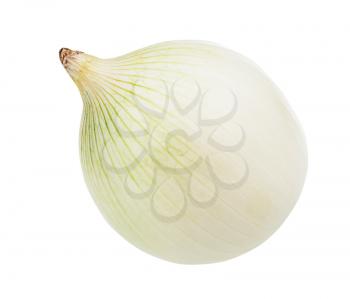 single bulb of ripe white onion isolated on white background