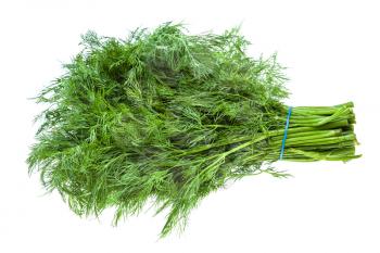 big bunch of fresh green dill herb isolated on white background