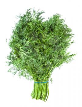 big bunch of natural green dill herb isolated on white background