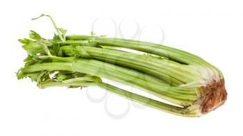 natural celery stalk isolated on white background