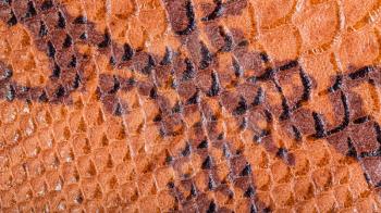 textured panoramic background from snakeskin leather close up