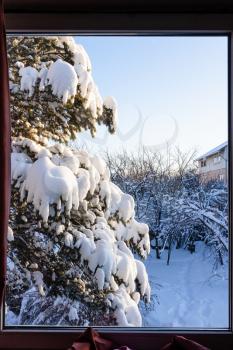 view of snow-covered backyard through window on country house in cold sunny winter evening