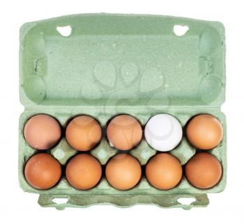 top view of ten various chicken eggs (nine brown eggs and one white) in green cardboard container isolated on white background