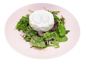 soft cheese on fresh greens on pink plate isolated on white background