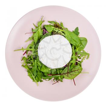 top view of soft cheese on fresh greens on pink plate isolated on white background
